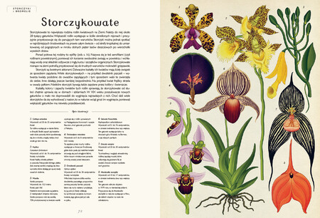 Strony książki Botanicum