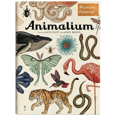 Okładka książki Animalium