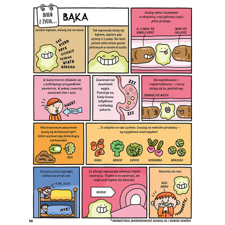 Okładka książki Dzień z życia skunksa, jelita i tego, kto to czyta