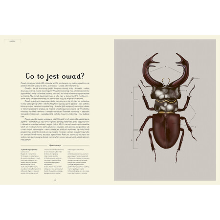 Strony książki Insektarium