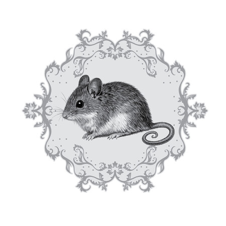 Widziana z boku przycupnięta urocza myszka, wok&oacute;ł niej&nbsp;ornament roślinny