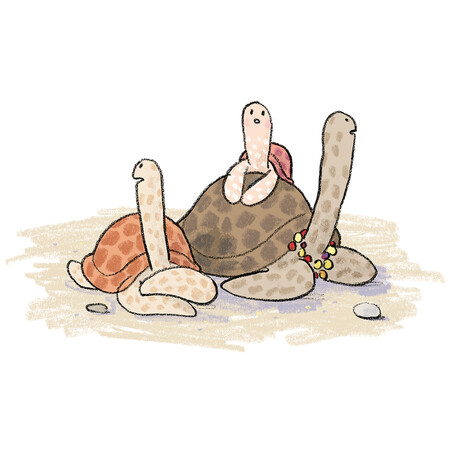 Trzy ż&oacute;łwie: Ż&oacute;łwisław, jego mama i młodsza siostra Ż&oacute;łwinka patrzą w trzy r&oacute;żne strony. Ż&oacute;łwinka opiera się na skorupie mamy. Mama ma na szyi korale.