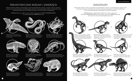 Strony książki Gabinet dinozaurów