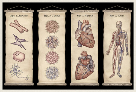 Strony książki Anatomicum