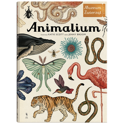 książka Animalium