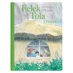 książka Felek i Tola i burza