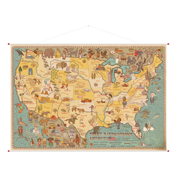 książka Ścienna mapa Stanów Zjednoczonych Ameryki